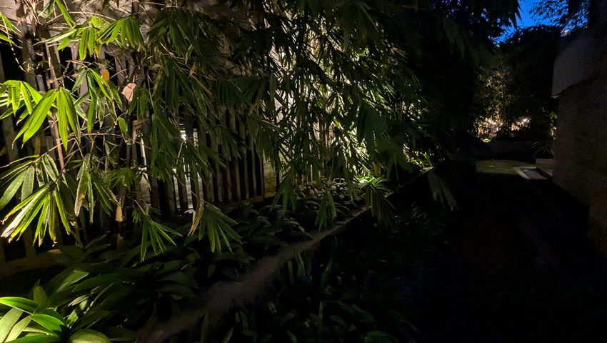 PXL_20240829_155902269